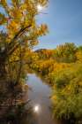 USA, New Mexico, Jemez National Recreation Area. Sun reflection and cottonwood trees around stream. Art Print